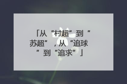 从“村超”到“苏超”，从“追球”到“追求”