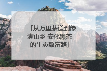 从万里茶道到绿满山乡 安化黑茶的生态致富路