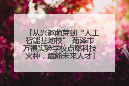 从兴趣萌芽到“人工智能基地校” 菏泽市万福实验学校点燃科技火种，赋能未来人才