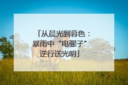 从晨光到暮色：暴雨中“电骡子”逆行送光明