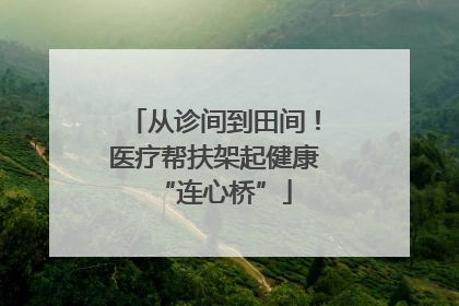 从诊间到田间！医疗帮扶架起健康“连心桥”