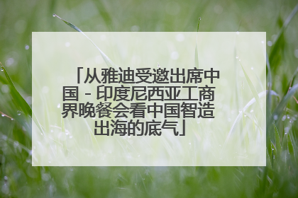 从雅迪受邀出席中国－印度尼西亚工商界晚餐会看中国智造出海的底气