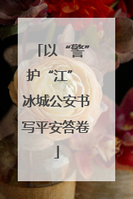 以“警”护“江” 冰城公安书写平安答卷