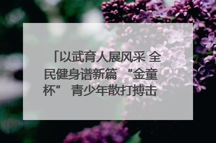 以武育人展风采 全民健身谱新篇 “金童杯” 青少年散打搏击邀请赛圆满落幕