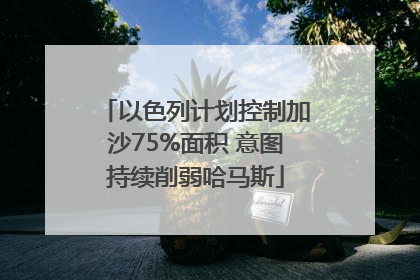 以色列计划控制加沙75%面积 意图持续削弱哈马斯