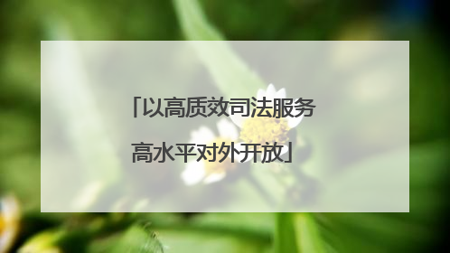 以高质效司法服务高水平对外开放