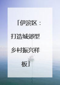 伊滨区：打造城郊型乡村振兴样板