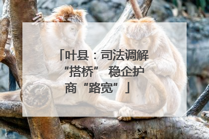 叶县：司法调解“搭桥” 稳企护商“路宽”