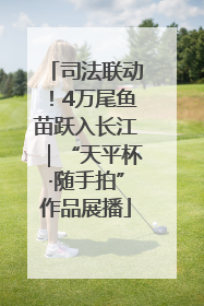司法联动！4万尾鱼苗跃入长江｜“天平杯·随手拍”作品展播