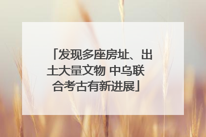 发现多座房址、出土大量文物 中乌联合考古有新进展