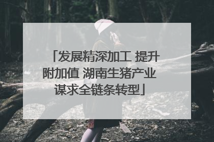发展精深加工 提升附加值 湖南生猪产业谋求全链条转型