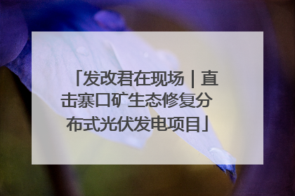 发改君在现场｜直击寨口矿生态修复分布式光伏发电项目
