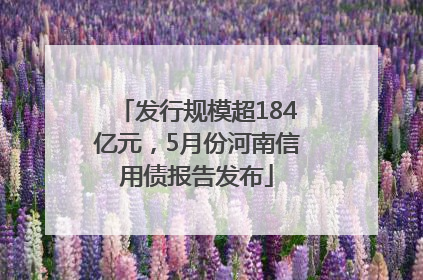 发行规模超184亿元，5月份河南信用债报告发布