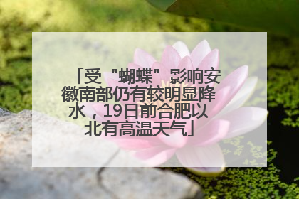 受“蝴蝶”影响安徽南部仍有较明显降水，19日前合肥以北有高温天气