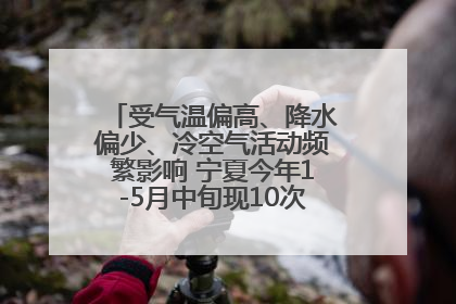 受气温偏高、降水偏少、冷空气活动频繁影响 宁夏今年1-5月中旬现10次定级沙尘天气过程