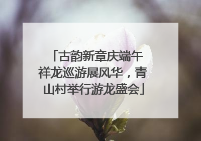 古韵新章庆端午 祥龙巡游展风华，青山村举行游龙盛会