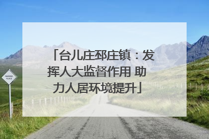 台儿庄邳庄镇：发挥人大监督作用 助力人居环境提升