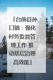台前县孙口镇：强化村务监督管理工作 推动基层治理高效能