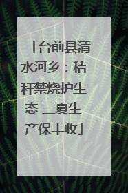 台前县清水河乡：秸秆禁烧护生态 三夏生产保丰收