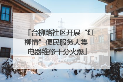 台柳路社区开展“红柳情”便民服务大集 电器维修十分火爆