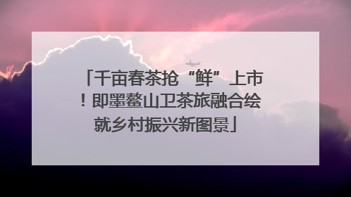 千亩春茶抢“鲜”上市！即墨鳌山卫茶旅融合绘就乡村振兴新图景