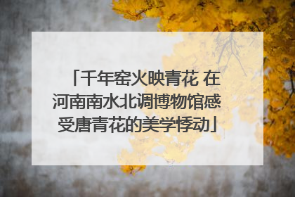 千年窑火映青花 在河南南水北调博物馆感受唐青花的美学悸动