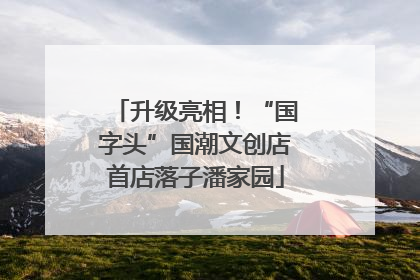 升级亮相！“国字头”国潮文创店首店落子潘家园