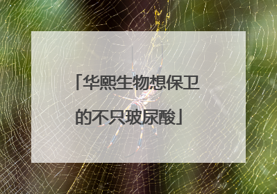 华熙生物想保卫的不只玻尿酸