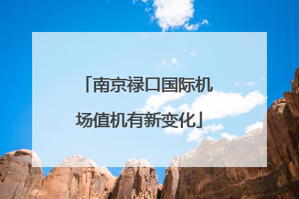 南京禄口国际机场值机有新变化