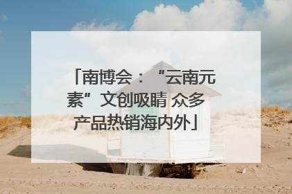 南博会：“云南元素”文创吸睛 众多产品热销海内外