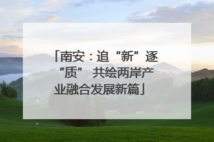 南安：追“新”逐“质” 共绘两岸产业融合发展新篇
