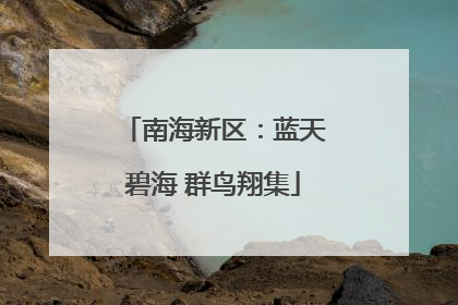 南海新区：蓝天碧海 群鸟翔集