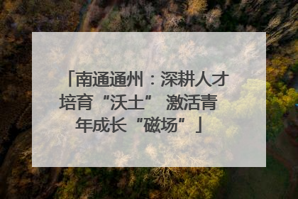 南通通州：深耕人才培育“沃土” 激活青年成长“磁场”