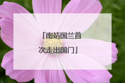 南靖国兰首次走出国门