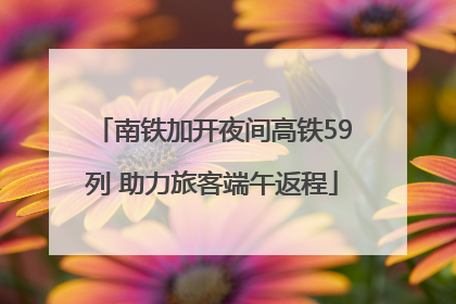 南铁加开夜间高铁59列 助力旅客端午返程