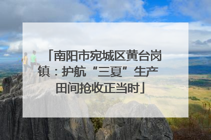 南阳市宛城区黄台岗镇：护航“三夏”生产 田间抢收正当时
