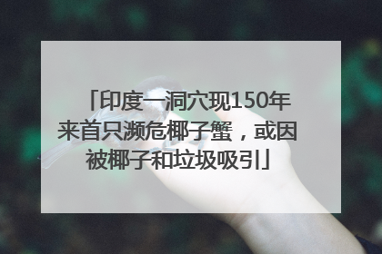 印度一洞穴现150年来首只濒危椰子蟹，或因被椰子和垃圾吸引