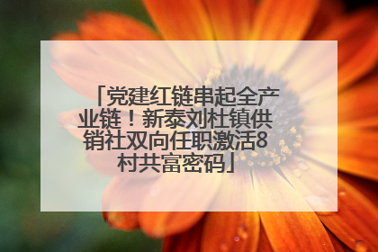 党建红链串起全产业链！新泰刘杜镇供销社双向任职激活8村共富密码