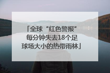 全球“红色警报”  每分钟失去18个足球场大小的热带雨林