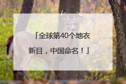 全球第40个地衣新目，中国命名！