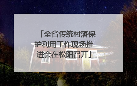 全省传统村落保护利用工作现场推进会在松阳召开