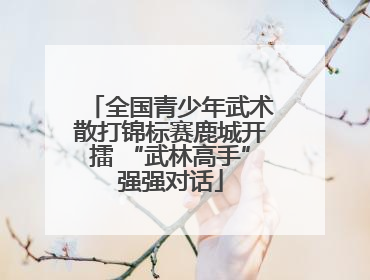 全国青少年武术散打锦标赛鹿城开擂 “武林高手”强强对话