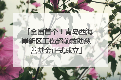 全国首个！青岛西海岸新区工伤超前救助慈善基金正式成立