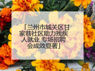 兰州市城关区甘家巷社区助力残疾人就业 专场招聘会成效显著