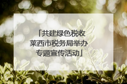 共建绿色税收 莱西市税务局举办专题宣传活动