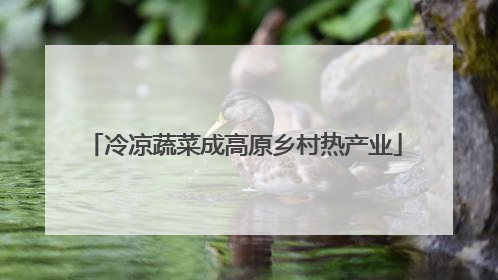 冷凉蔬菜成高原乡村热产业
