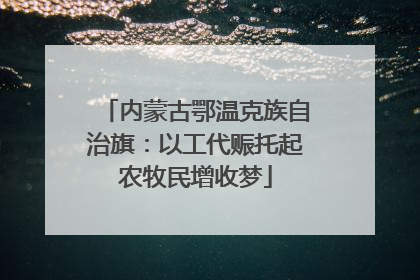 内蒙古鄂温克族自治旗：以工代赈托起农牧民增收梦