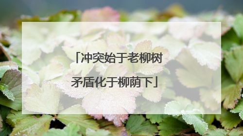 冲突始于老柳树 矛盾化于柳荫下