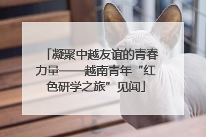 凝聚中越友谊的青春力量——越南青年“红色研学之旅”见闻