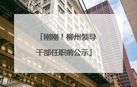 刚刚!柳州领导干部任职前公示